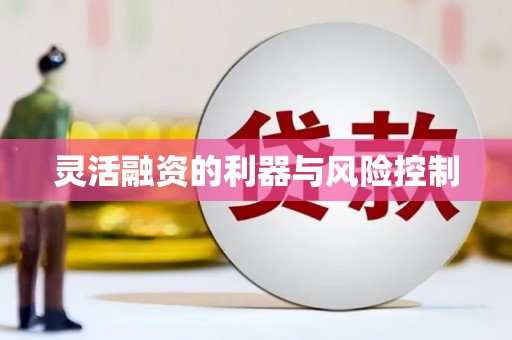 龙湖灵活融资的利器与风险控制