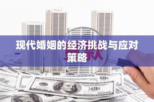 龙湖现代婚姻的经济挑战与应对策略
