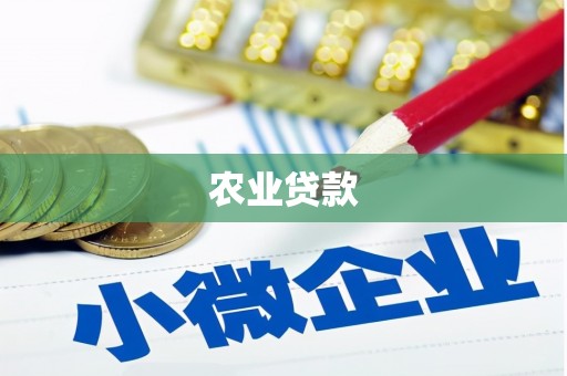 龙湖农业贷款