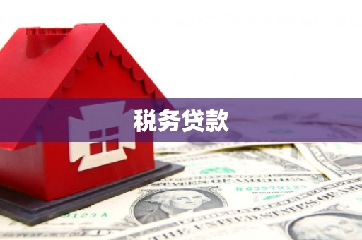 龙湖税务贷款