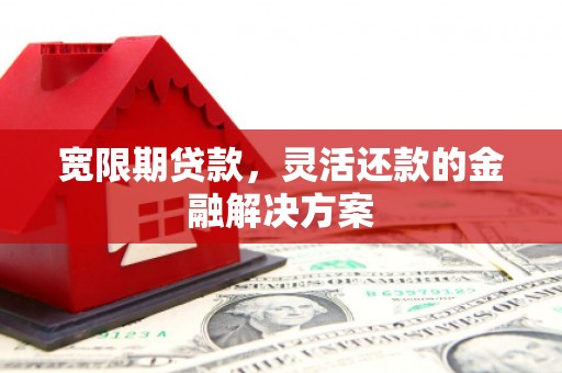 龙湖宽限期贷款，灵活还款的金融解决方案