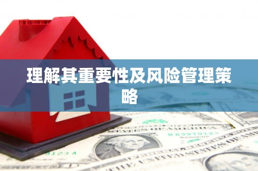 龙湖理解其重要性及风险管理策略