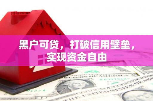 龙湖黑户可贷，打破信用壁垒，实现资金自由