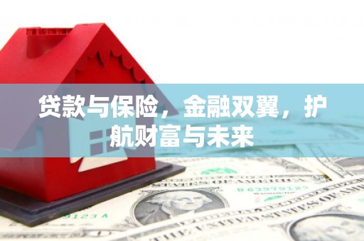 龙湖贷款与保险，金融双翼，护航财富与未来