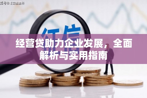龙湖经营贷助力企业发展，全面解析与实用指南