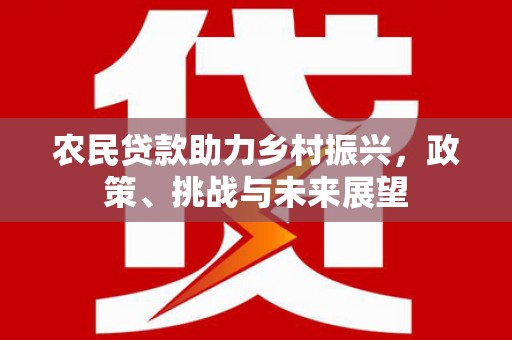 龙湖农民贷款助力乡村振兴，政策、挑战与未来展望