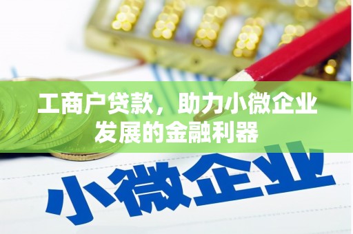 龙湖工商户贷款，助力小微企业发展的金融利器