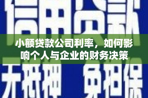 龙湖小额贷款公司利率，如何影响个人与企业的财务决策