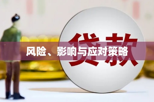 龙湖风险、影响与应对策略