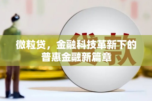 龙湖微粒贷，金融科技革新下的普惠金融新篇章