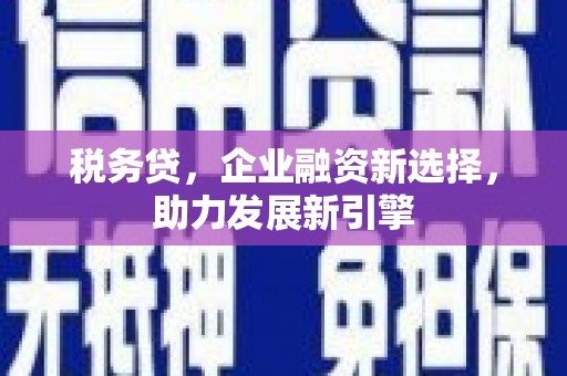龙湖税务贷，企业融资新选择，助力发展新引擎