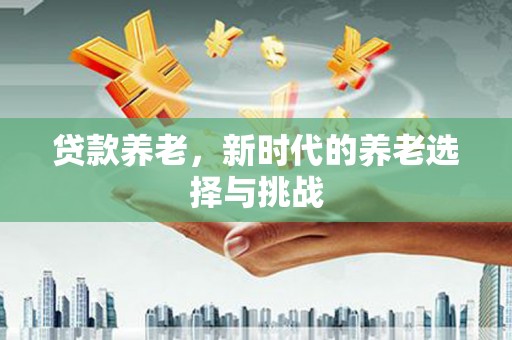 龙湖贷款养老，新时代的养老选择与挑战