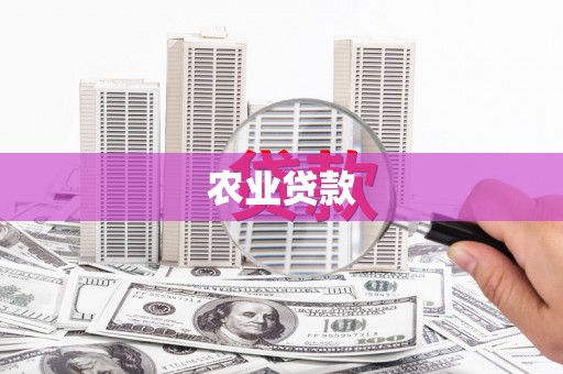 龙湖农业贷款