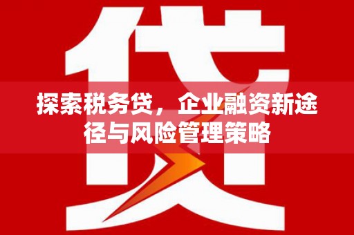 龙湖探索税务贷，企业融资新途径与风险管理策略