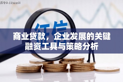 龙湖商业贷款，企业发展的关键融资工具与策略分析