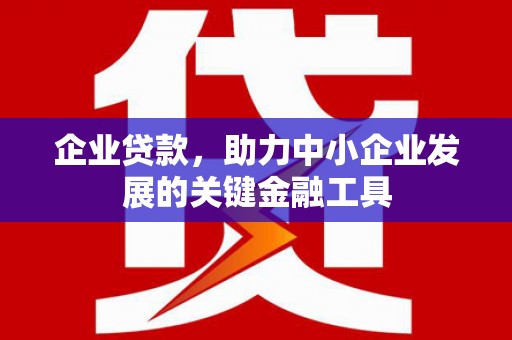 龙湖企业贷款，助力中小企业发展的关键金融工具