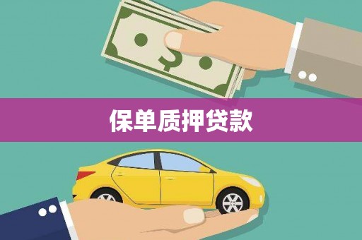 龙湖保单质押贷款