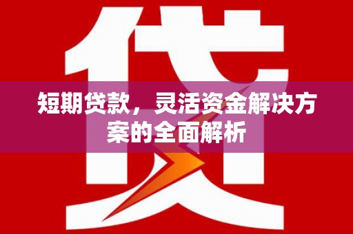 龙湖短期贷款，灵活资金解决方案的全面解析