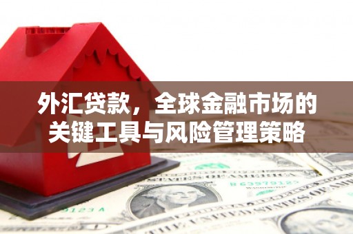 龙湖外汇贷款，全球金融市场的关键工具与风险管理策略