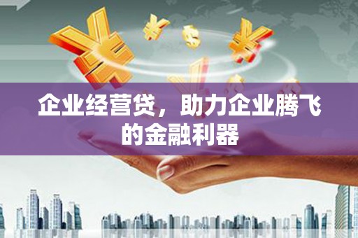 龙湖企业经营贷，助力企业腾飞的金融利器