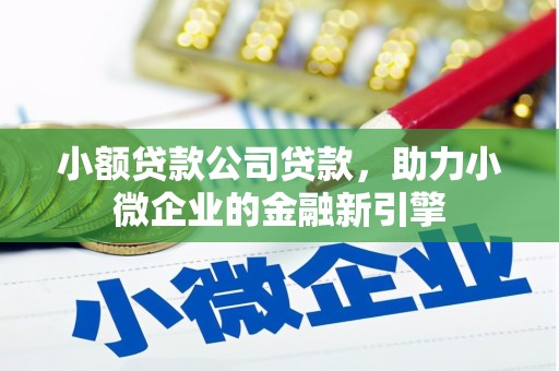 龙湖小额贷款公司贷款，助力小微企业的金融新引擎