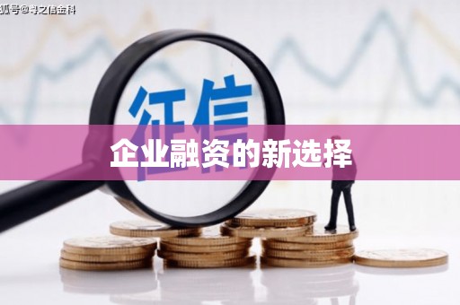 龙湖企业融资的新选择