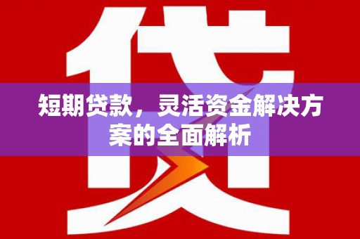 龙湖短期贷款，灵活资金解决方案的全面解析