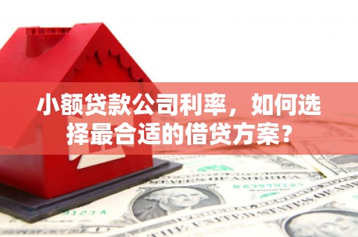 龙湖小额贷款公司利率，如何选择最合适的借贷方案？