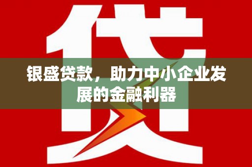 龙湖银盛贷款，助力中小企业发展的金融利器