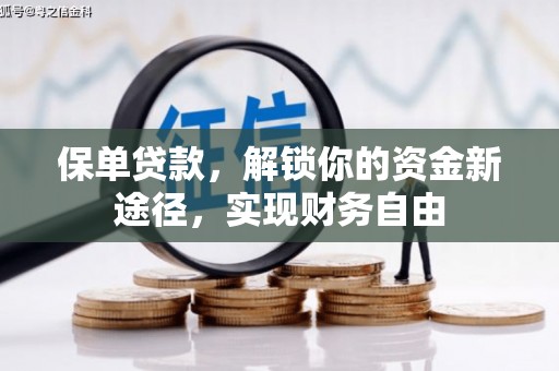 龙湖保单贷款，解锁你的资金新途径，实现财务自由