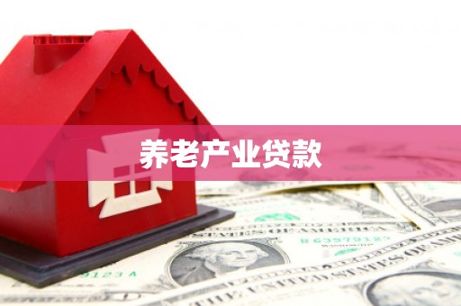 龙湖养老产业贷款