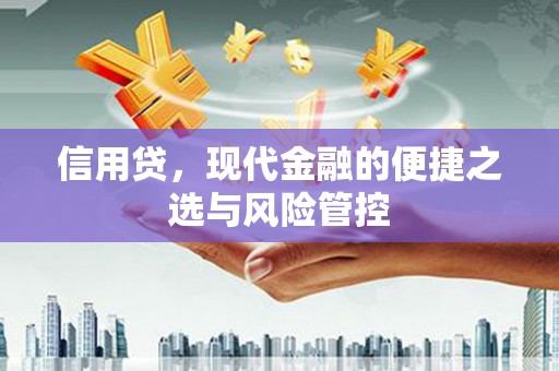 龙湖信用贷，现代金融的便捷之选与风险管控