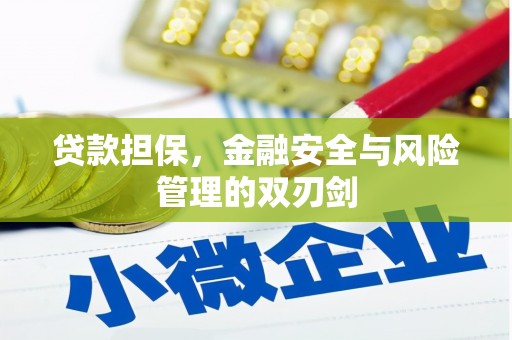 龙湖贷款担保，金融安全与风险管理的双刃剑