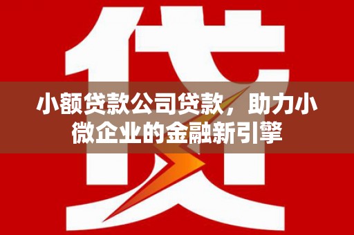 龙湖小额贷款公司贷款，助力小微企业的金融新引擎