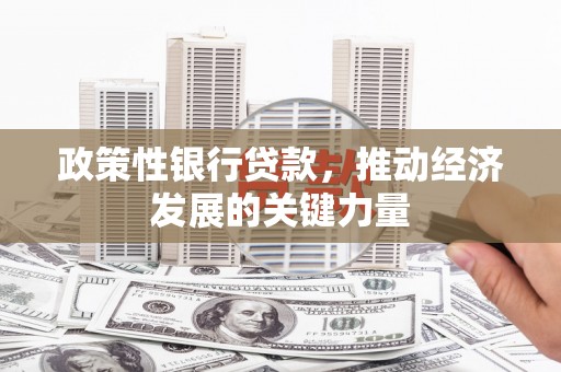 龙湖政策性银行贷款，推动经济发展的关键力量