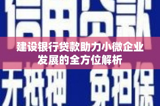 龙湖建设银行贷款助力小微企业发展的全方位解析