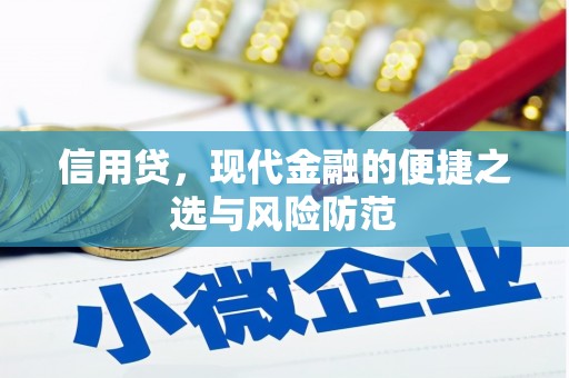 龙湖信用贷，现代金融的便捷之选与风险防范
