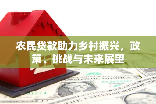 龙湖农民贷款助力乡村振兴，政策、挑战与未来展望