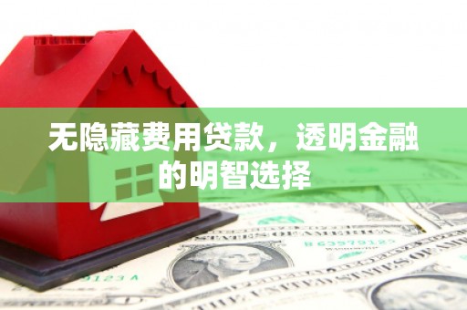 龙湖无隐藏费用贷款，透明金融的明智选择