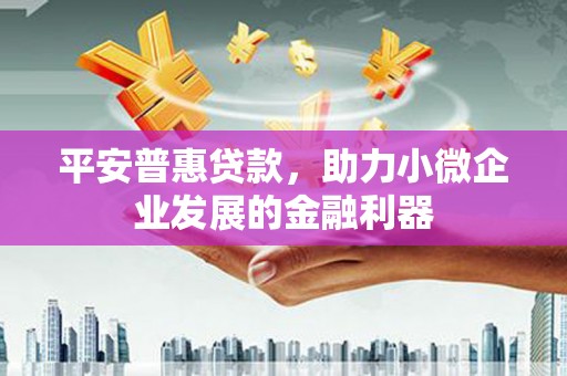 龙湖平安普惠贷款，助力小微企业发展的金融利器