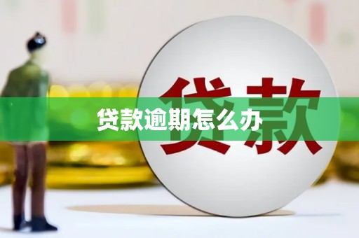 龙湖贷款逾期怎么办