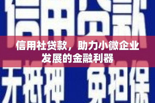 龙湖信用社贷款，助力小微企业发展的金融利器