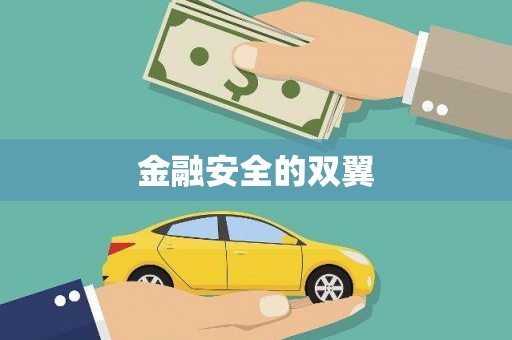 龙湖金融安全的双翼