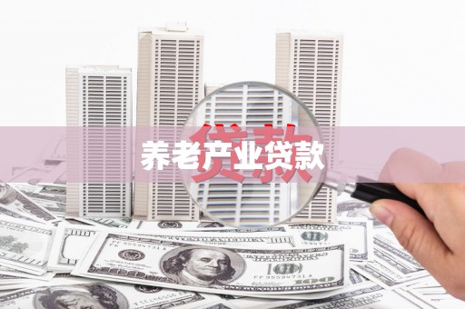 龙湖养老产业贷款
