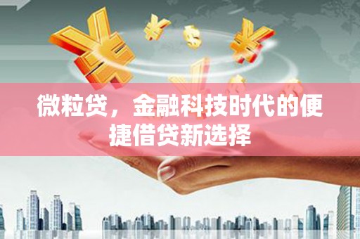 龙湖微粒贷，金融科技时代的便捷借贷新选择