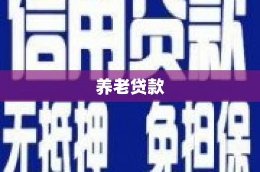 龙湖养老贷款