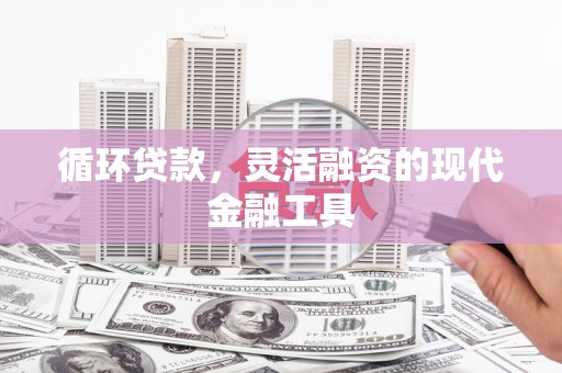 龙湖循环贷款，灵活融资的现代金融工具
