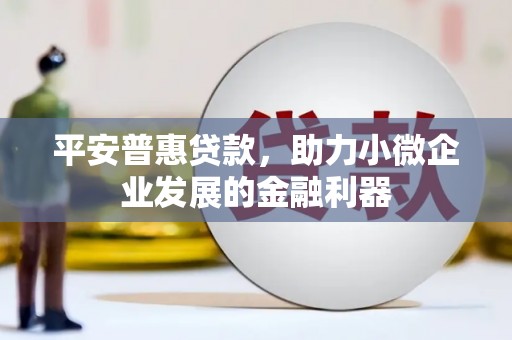 龙湖平安普惠贷款，助力小微企业发展的金融利器