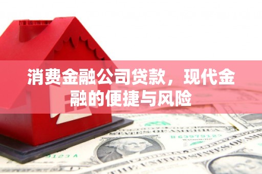 龙湖消费金融公司贷款，现代金融的便捷与风险