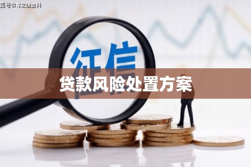 龙湖贷款风险处置方案